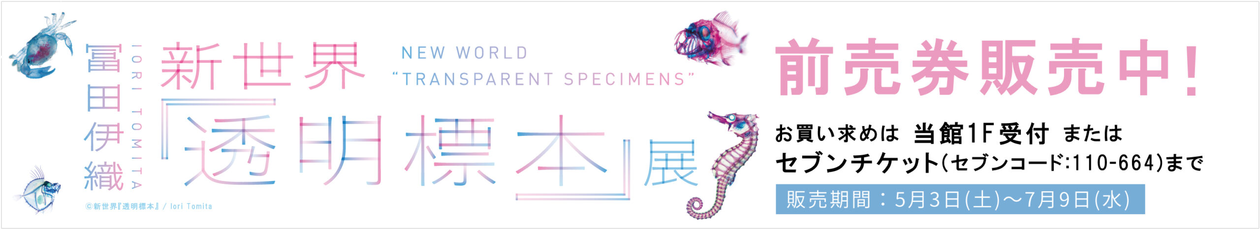 透明標本